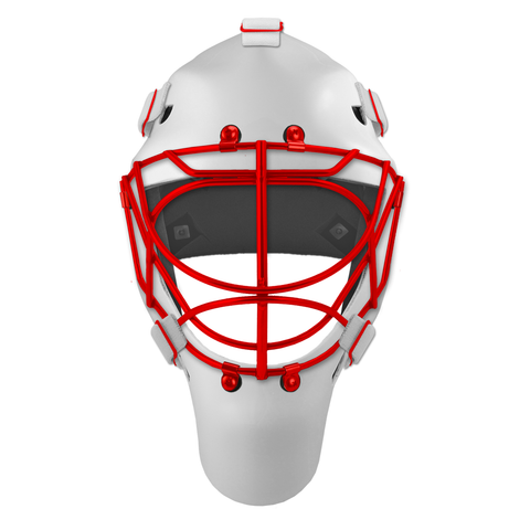 Pro Spec D1 Goalie Mask <br>Cat Eye Cage<br>DET 1