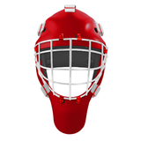Pro Spec D1 Goalie Mask <br>Approved Grid Cage<br>DET 2