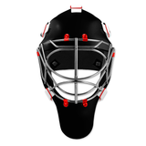 Custom Goalie Mask