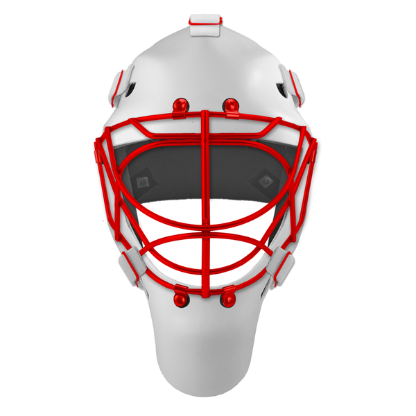Pro Spec D1 Goalie Mask <br>Cat Eye Cage<br>DET 1