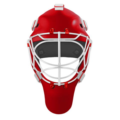 Pro Spec D1 Goalie Mask <br>Cat Eye Cage<br>DET 2