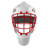 Pro Spec D1 Goalie Mask <br>Approved Grid Cage<br>DET 1